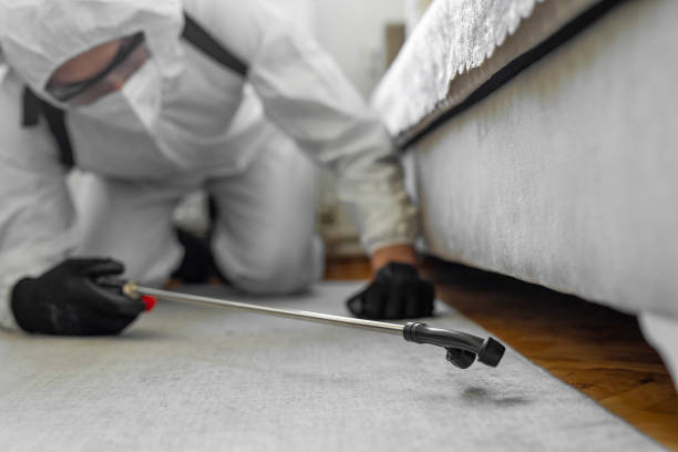 Professional Bed Bug Control technician working in Emerald Isle, NC