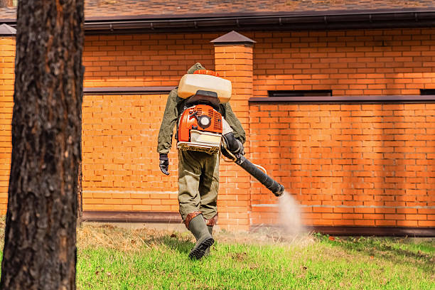 Trusted Bed Bug Control service in Emerald Isle, NC - Nex Pest Control